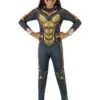 Disfraz De Avispa Para Niña - Ant Man Y La Avispa -Funidelia disfraz de avispa para nina ant man y la avispa