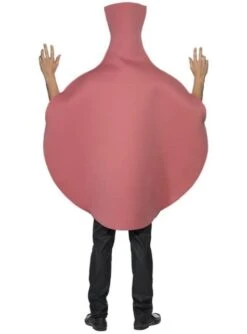 Disfraz De Cojín De Pedos -Funidelia disfraz de cojin de pedos 1