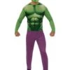 Disfraz De Hulk Basic Para Hombre -Funidelia disfraz de hulk basic para hombre