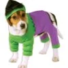 Disfraz De Hulk Para Perro -Funidelia disfraz de hulk para perro