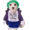 Disfraz De Joker Para Perro 2 Disfraz De Joker Para Perro -Funidelia disfraz de joker para perro