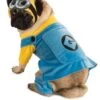 Disfraz De Minion Para Perro -Funidelia disfraz de minion para perro